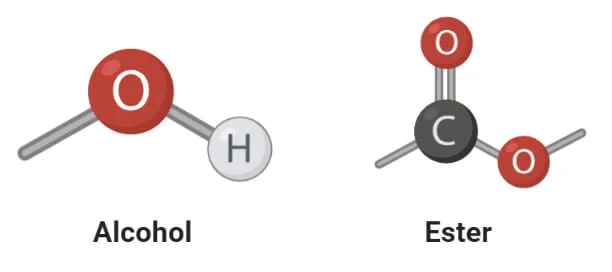 الکل‌ها و استرها