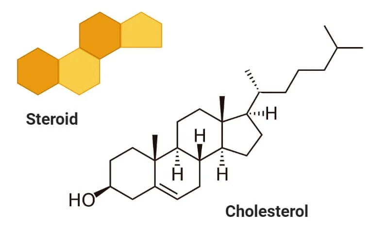 استرول‌ها (کلسترول)