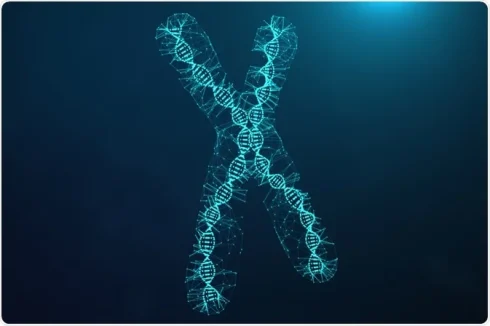 چگونه می‌توانیم کروموزوم‌های مصنوعی بسازیم؟