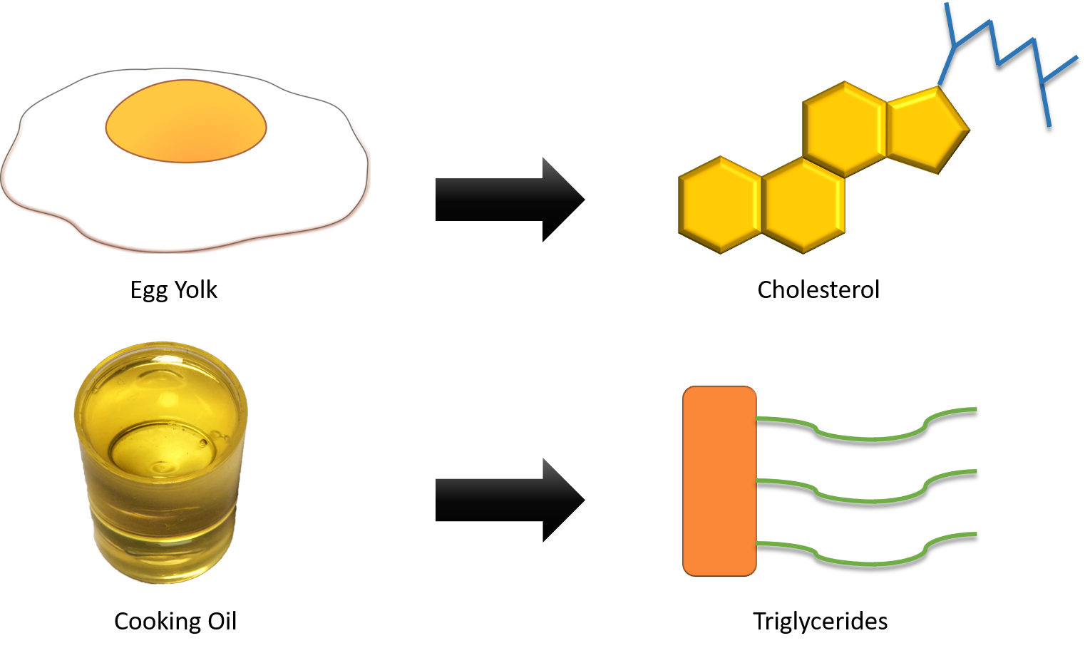 کلسترول و تری گلیسیرید