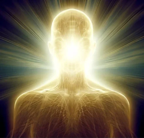 تجدید عمر بشر: چگونه DNA عروس دریایی می‌تواند طول عمر انسان را افزایش دهد؟