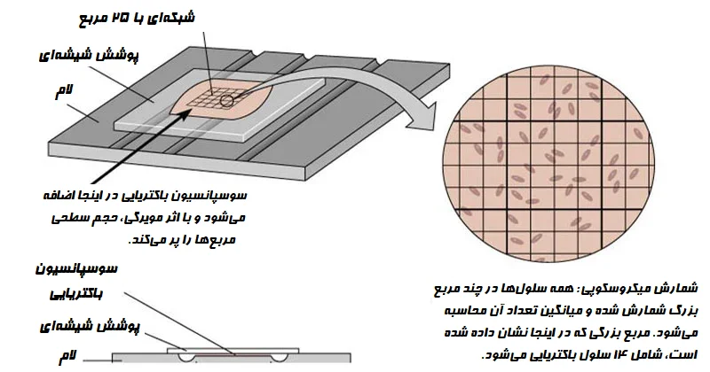شمارش میکروسکوپی مستقیم چیست؟