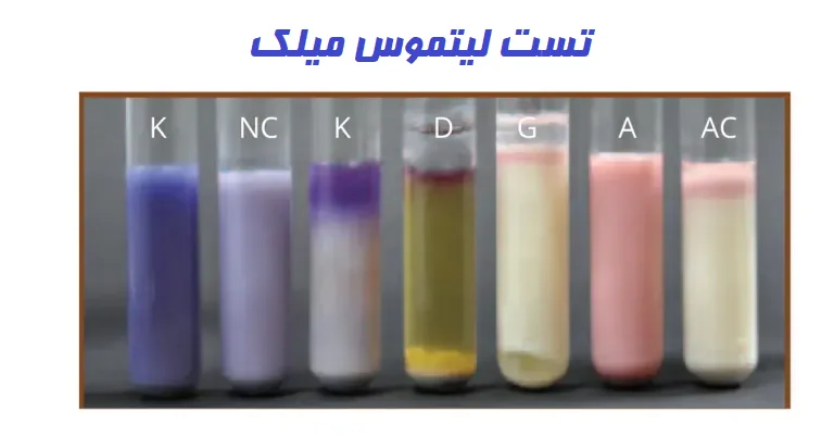 محیط لیتموس میلک
