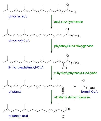 آلفا اکسیداسیون