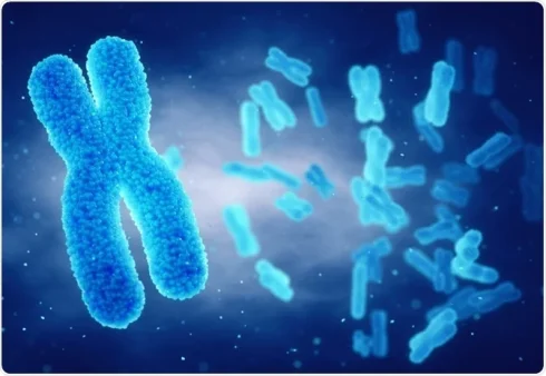 فنومیکس چیست؟