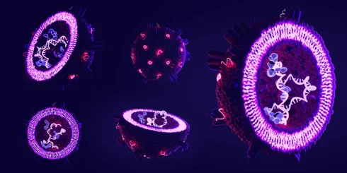 وزیکول‌های خارج سلولی