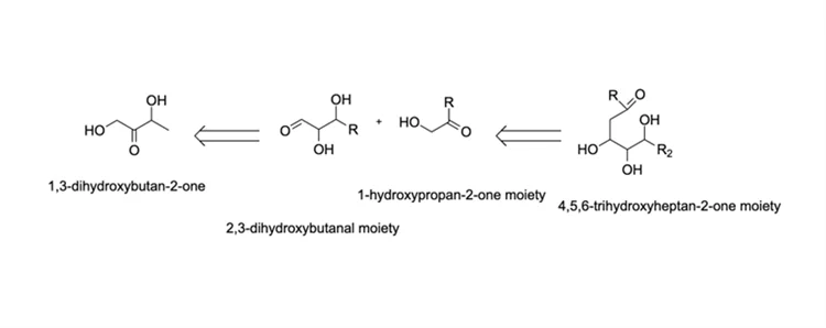 مثالی از طراحی داروی رترومتابولیک