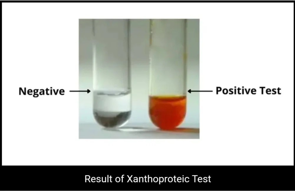 نتیجه آزمایش زانتوپروتئیک