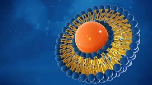 ایمونولیپوزوم تراپی چیست؟