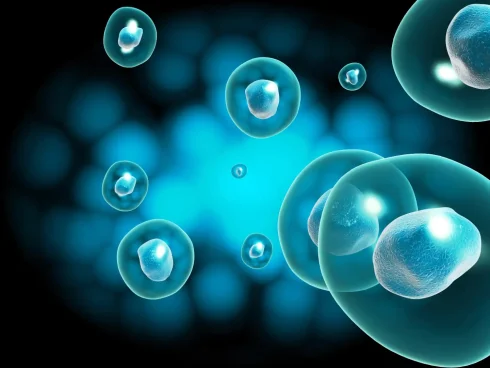 سلول‌ بنیادی پرتوان چیست؟