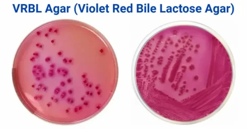 آگار VRBL چیست؟