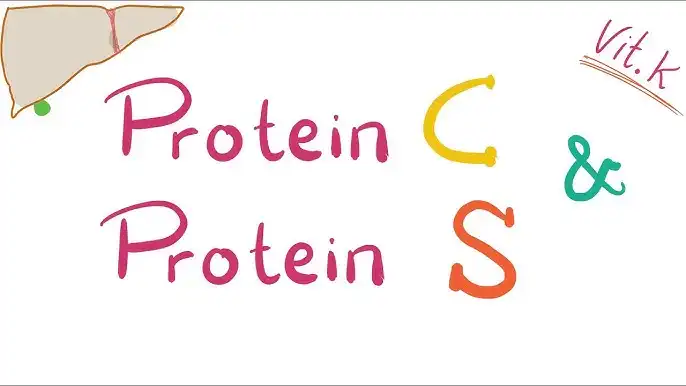 آزمایش‌ پروتئین C و پروتئین S چیست؟