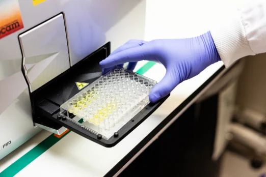 پلیت الایزا