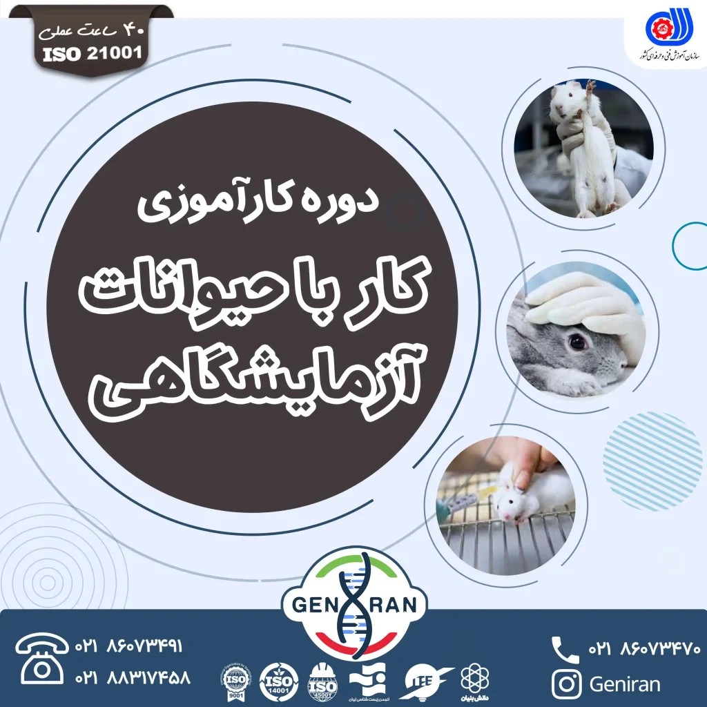 دوره کارآموزی کار با حیوانات آزمایشگاهی