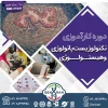 دوره کارآموزی تکنولوژیست پاتولوژی