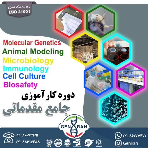 کارآموزی جامع مقدماتی