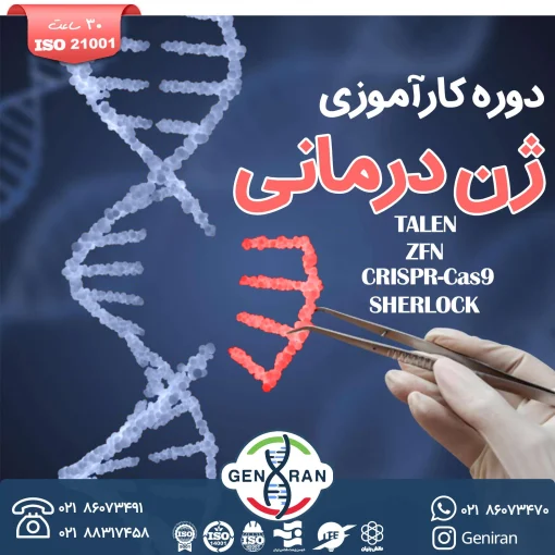 کارآموزی ژن درمانی