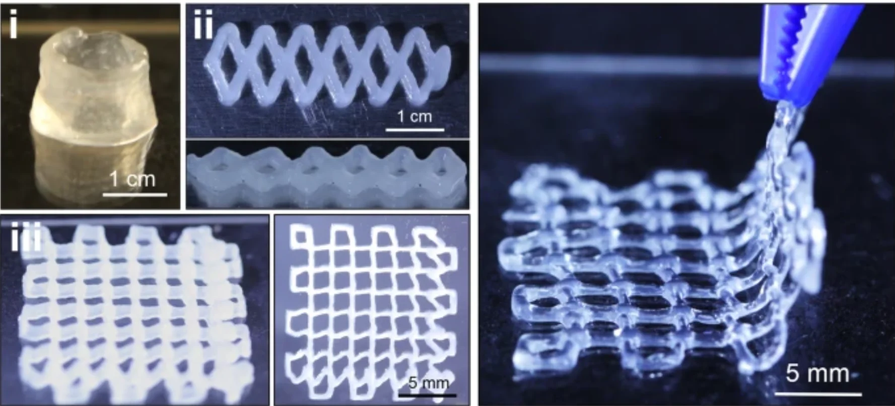 ساخت داربست هیدروژلی با استفاده از پرینت سه‌بعدی