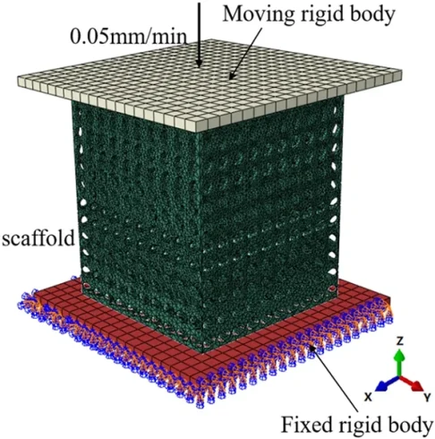 نحوه آنالیز خواص مکانیکی داربست‌ها