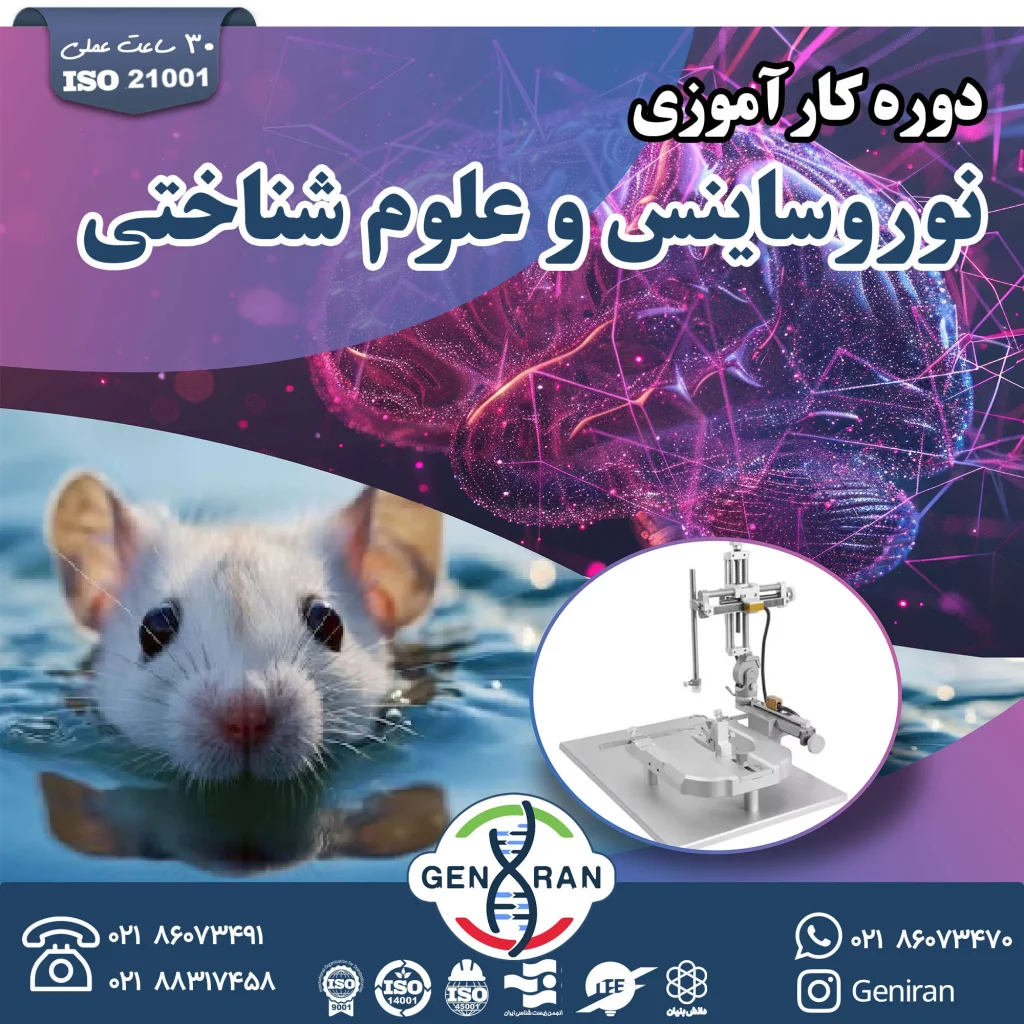کارآموزی نوروساینس