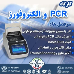 کارگاه PCR و الکتروفورز