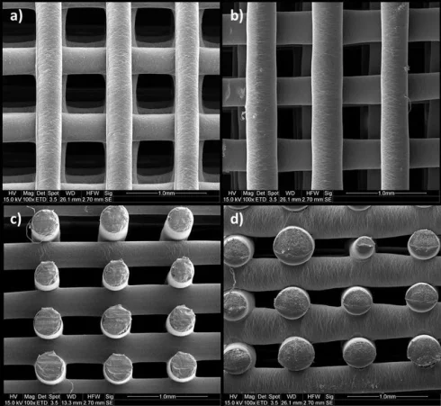 روش‌های تصویربرداری از داربست ها برای بررسی چسبندگی سلول و مورفولوژی