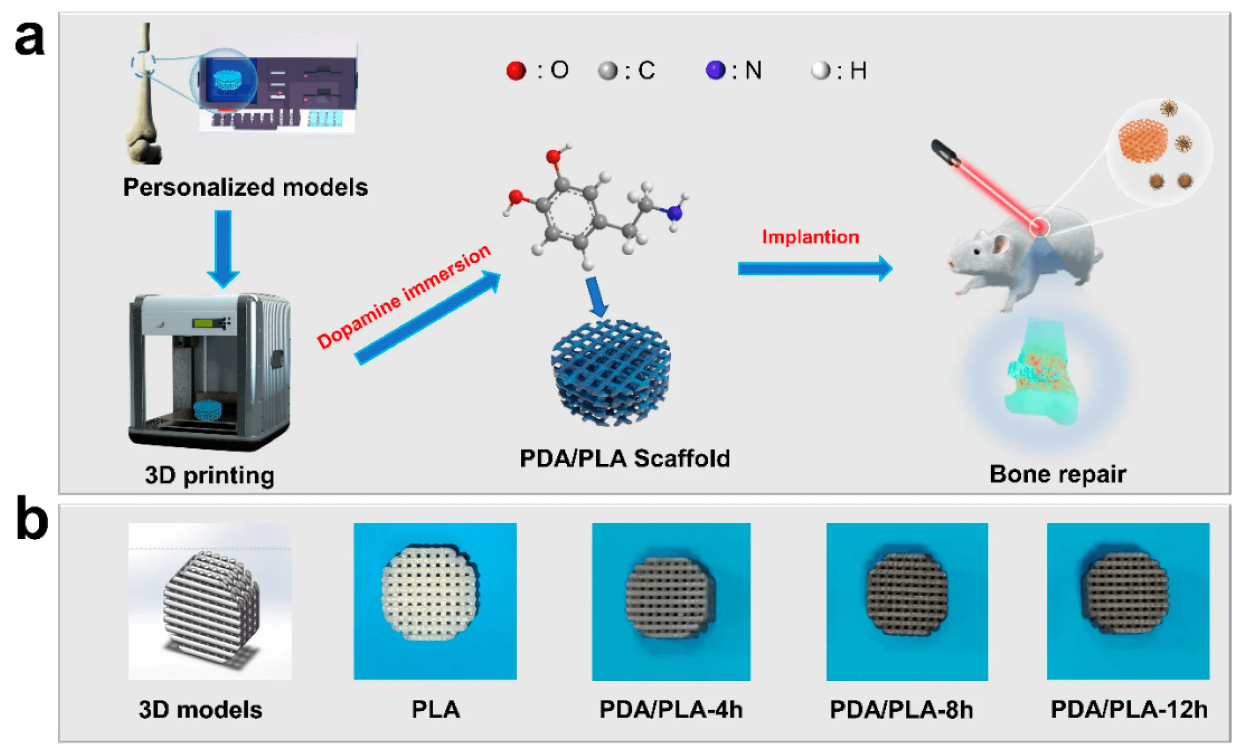 پرینت داربست