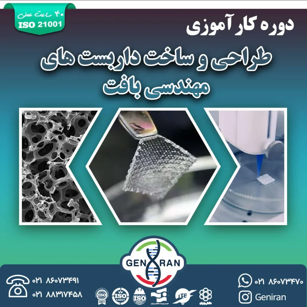 کارآموزی طراحی و ساخت داربست های مهندسی بافت