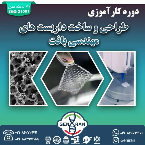 کارآموزی طراحی و ساخت داربست های مهندسی بافت