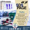 کارگاه SDS-PAGE