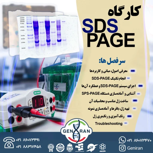 کارگاه SDS-PAGE
