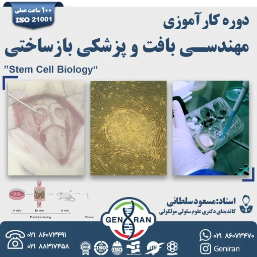 کارگاه مهندسی بافت و پزشکی بازساختی