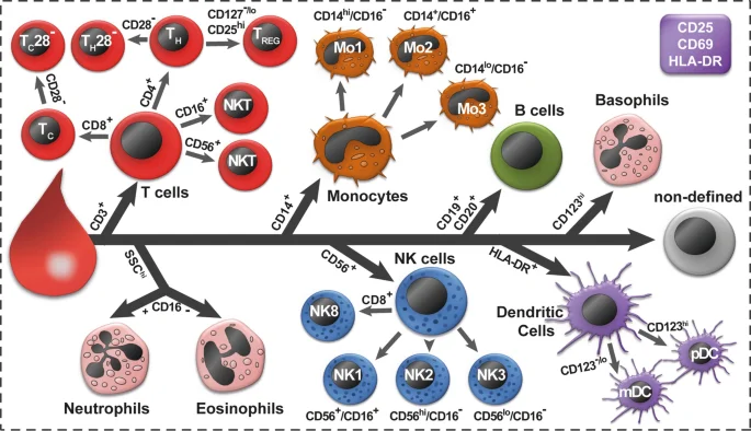 آنتی بادی ها و فلوسایتومتری