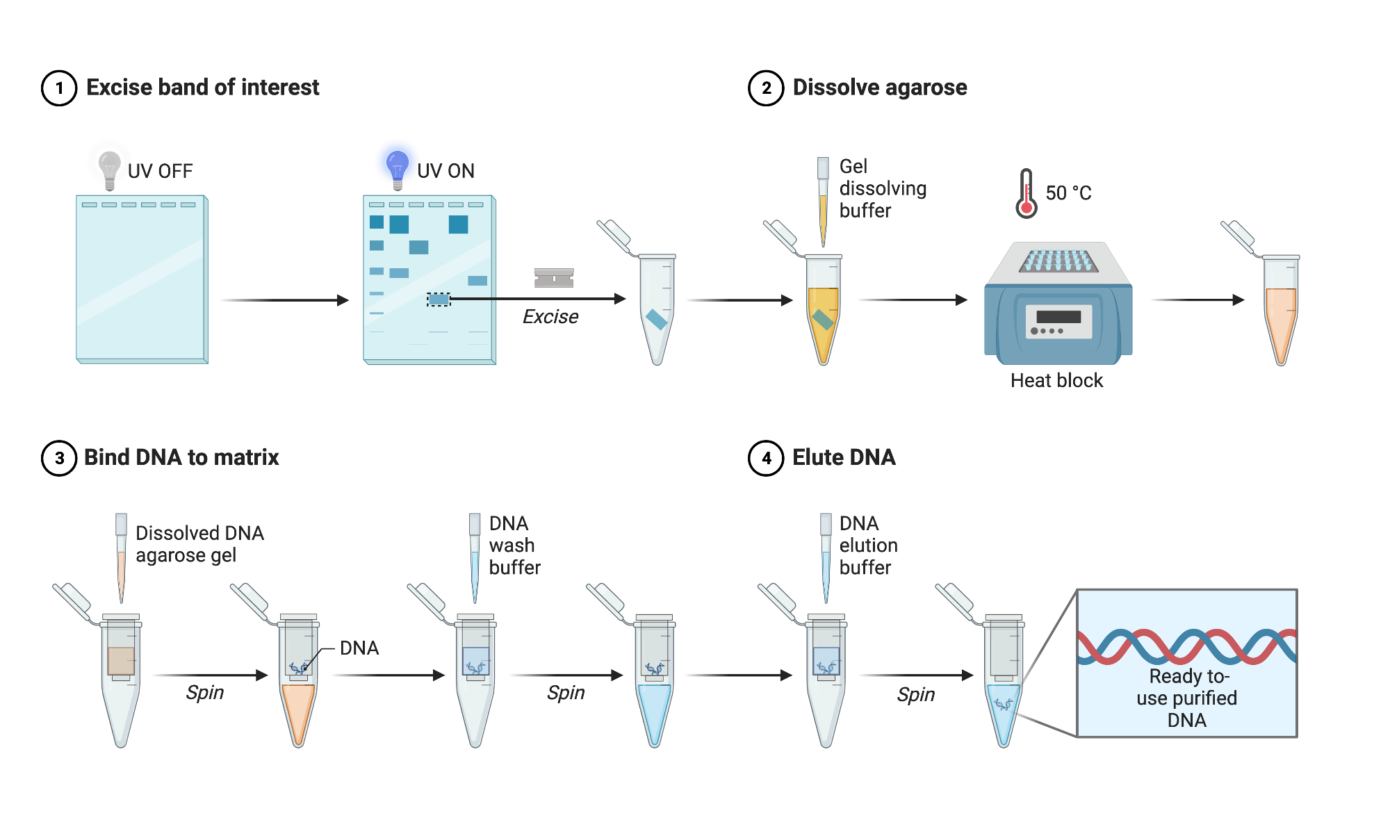 استخراج DNA از ژل آگارز