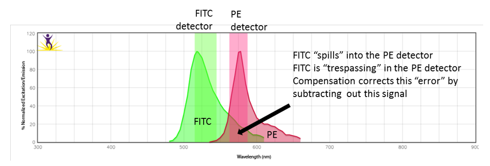 جبران همپوشانی در فلوسایتومتری