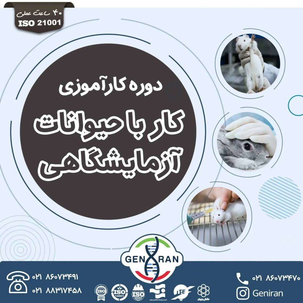 دوره کارآموزی کار با حیوانات آزمایشگاهی