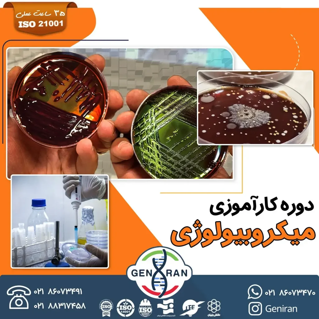 دوره کارآموزی میکروبیولوژی