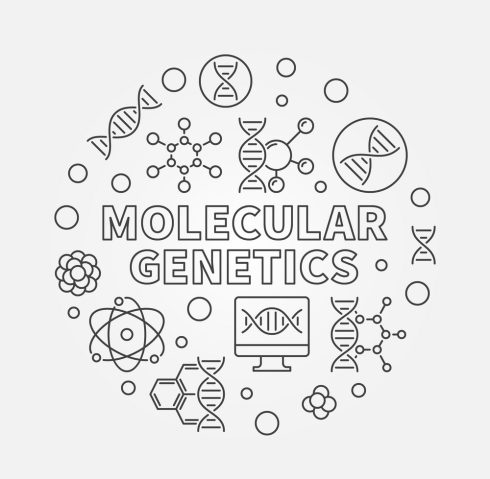 ژنتیک مولکولی در تحقیقات و تشخیص