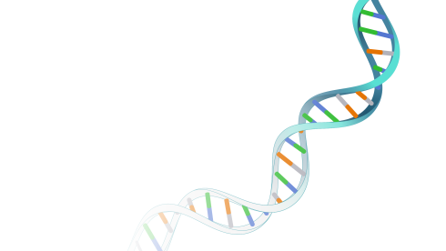 DNA غیر کد کننده چیست؟