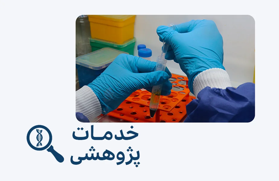 خدمات پژوهشی