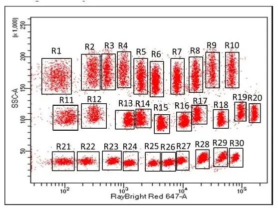 اندازه‌گیری غلظت سایتوکاین‌های ترشح شده با فلوسایتومتری