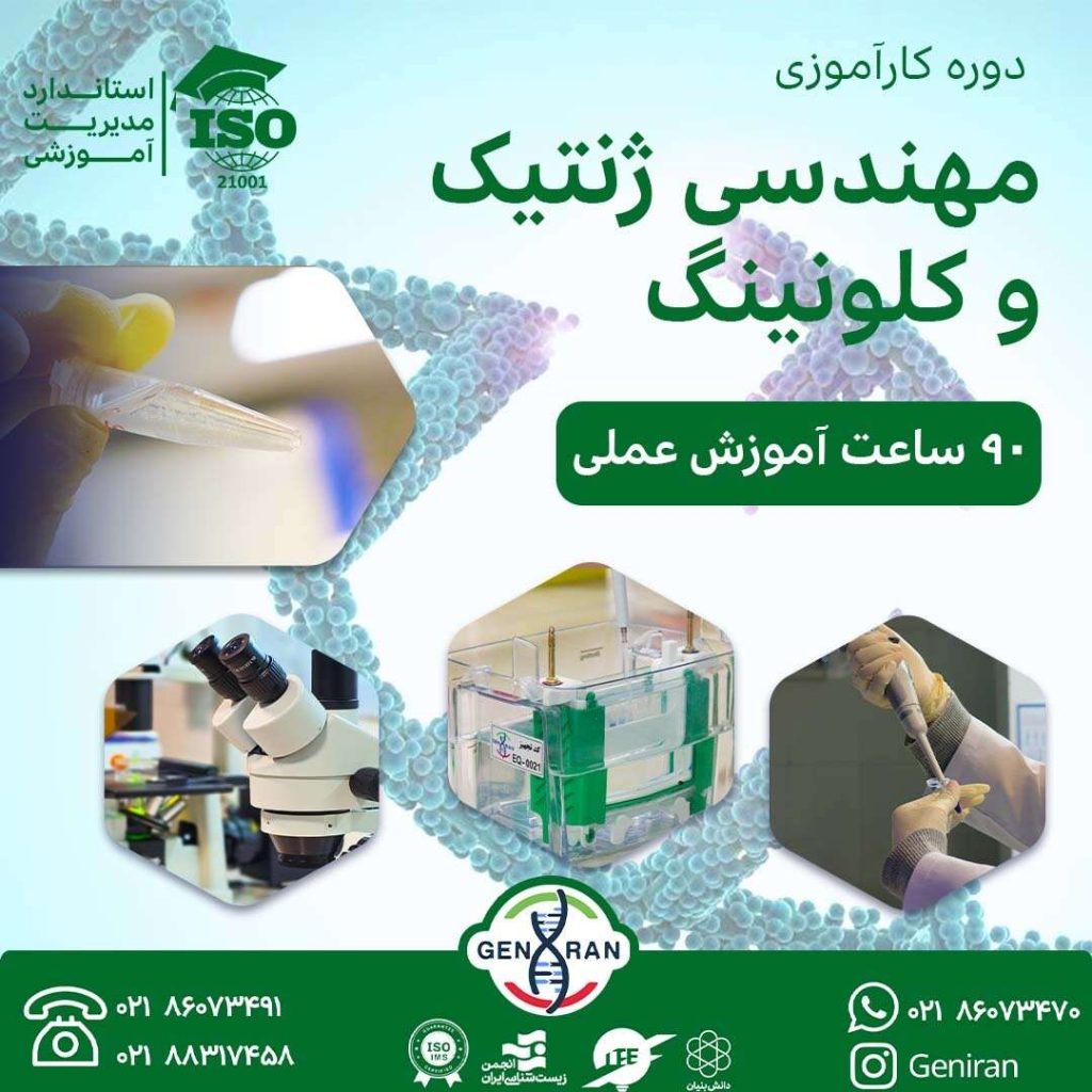 پوستر مهندسی ژنتیک