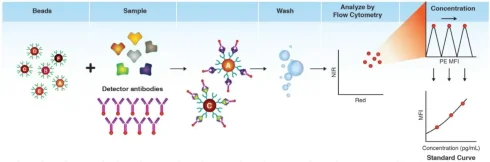 اندازه_گیری غلظت سایتوکاین_های ترشح شده با فلوسایتومتری