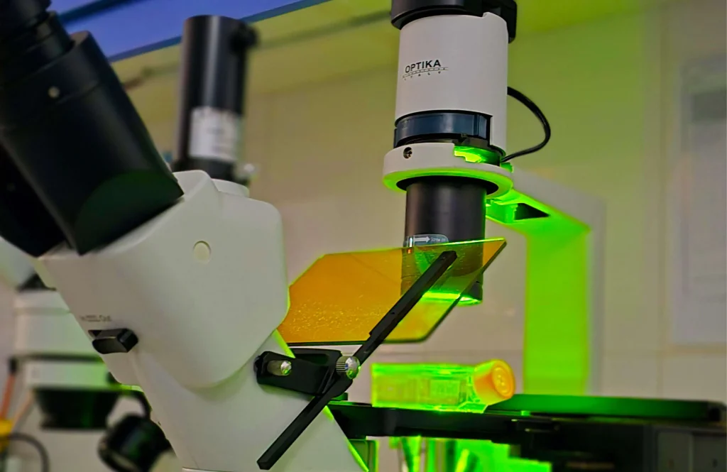 خدمات ایمونولوژی