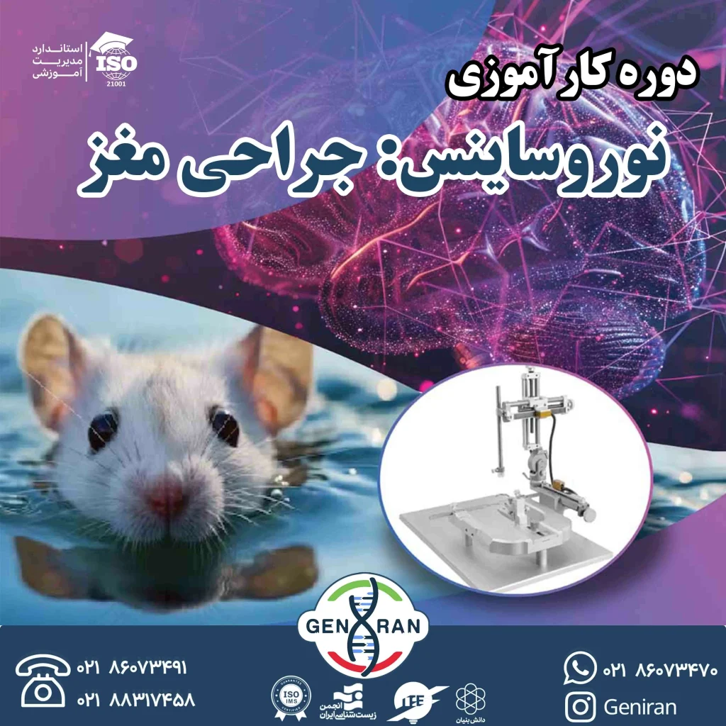 پوستر نوروساینس