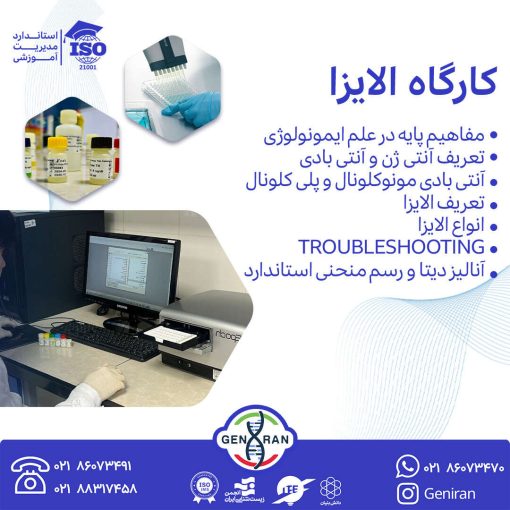 کارگاه الایزا
