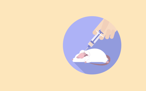 القای بیماری پارکینسون در رت: روش، کاربرد و تجهیزات