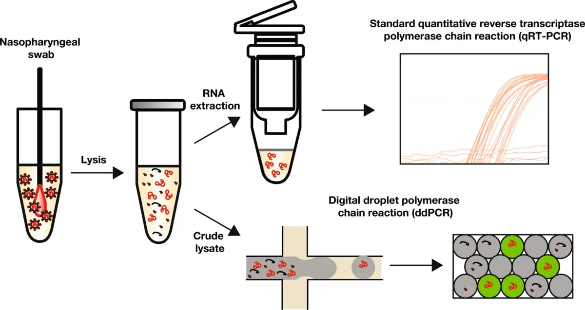اصول ddPCR