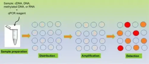PCR قطره‌ای دیجیتال
