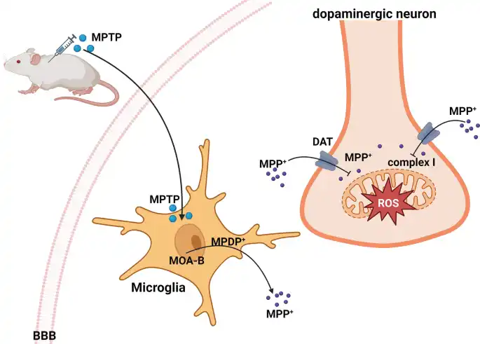تجویز MPTP